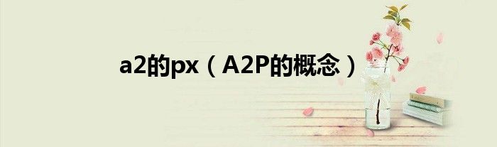 a2的px(A2P的概念)