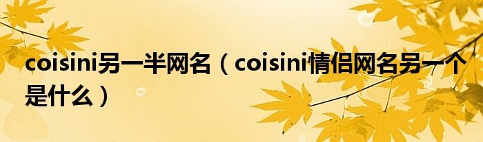 coisini另一半网名(coisini情侣网名另一个是什么)
