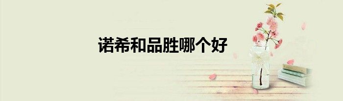诺希和品胜哪个好
