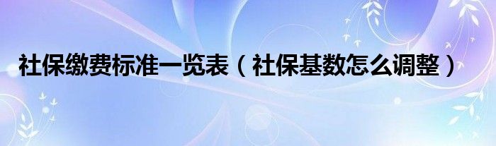 社保缴费标准一览表(社保基数怎么调整)