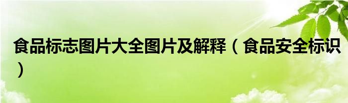 食品标志图片大全图片及解释(食品安全标识)