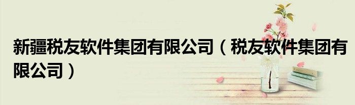 新疆税友软件集团有限公司(税友软件集团有限公司)