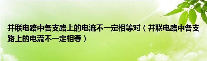 并联电路中各支路上的电流不一定相等对(并联电路中各支路上的电流不一定相等)
