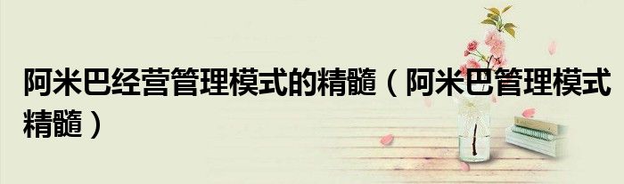 阿米巴经营管理模式的精髓(阿米巴管理模式精髓)