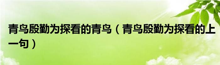 青鸟殷勤为探看的青鸟(青鸟殷勤为探看的上一句)