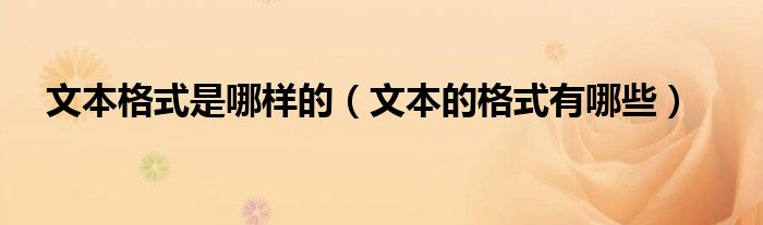 文本格式是哪样的(文本的格式有哪些)