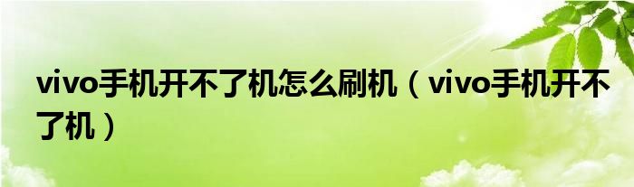 vivo手机开不了机怎么刷机(vivo手机开不了机)