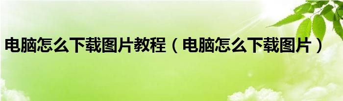 电脑怎么下载图片教程(电脑怎么下载图片)