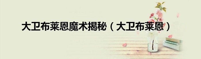 大卫布莱恩魔术揭秘(大卫布莱恩)