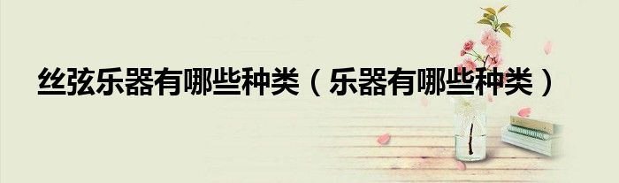 丝弦乐器有哪些种类(乐器有哪些种类)