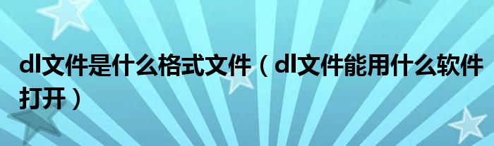 dl文件是什么格式文件(dl文件能用什么软件打开)