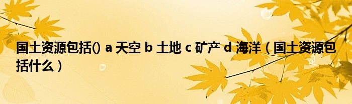 国土资源包括() a 天空 b 土地 c 矿产 d 海洋(国土资源包括什么)