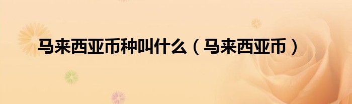 马来西亚币种叫什么(马来西亚币)