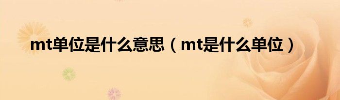 mt单位是什么意思(mt是什么单位)