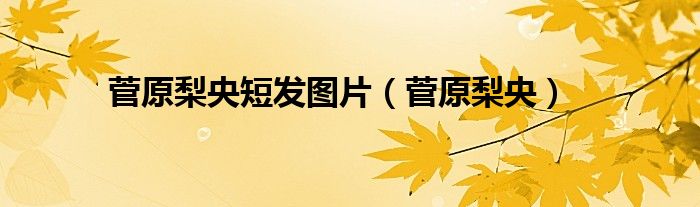 菅原梨央短发图片(菅原梨央)