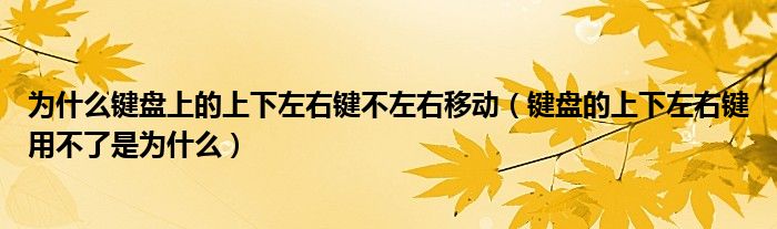 为什么键盘上的上下左右键不左右移动(键盘的上下左右键用不了是为什么)