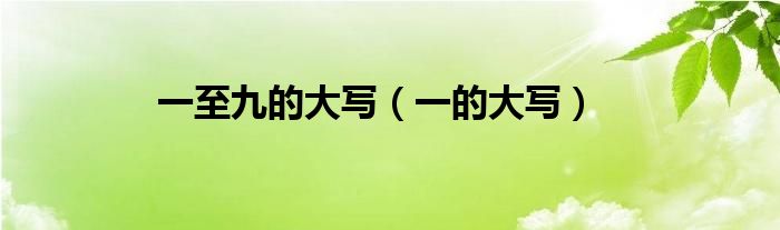 一至九的大写(一的大写)