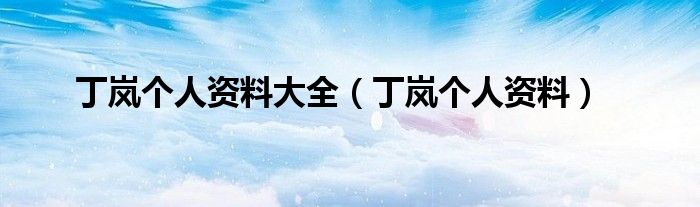 丁岚个人资料大全(丁岚个人资料)