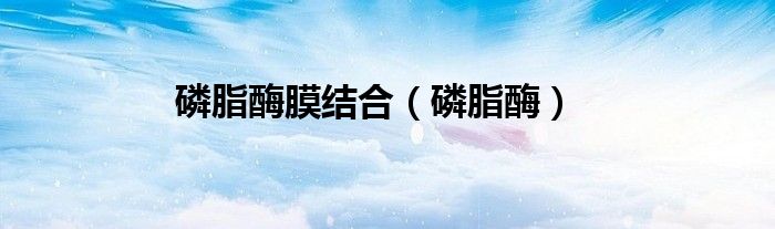 磷脂酶膜结合（磷脂酶）