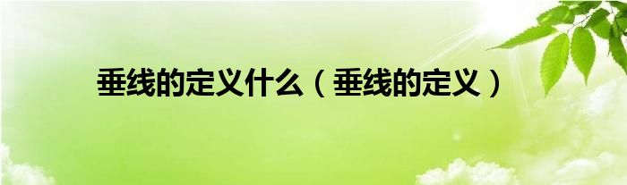垂线的定义什么(垂线的定义)
