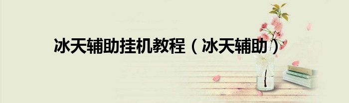 冰天辅助挂机教程(冰天辅助)