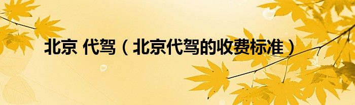 北京 代驾(北京代驾的收费标准)
