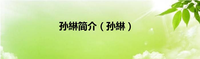 孙綝简介(孙綝)