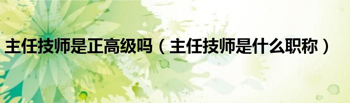 主任技师是正高级吗(主任技师是什么职称)