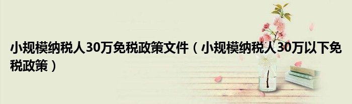 小规模纳税人30万免税政策文件(小规模纳税人30万以下免税政策)