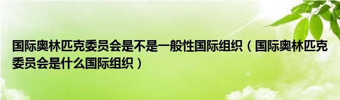 国际奥林匹克委员会是不是一般性国际组织(国际奥林匹克委员会是什么国际组织)
