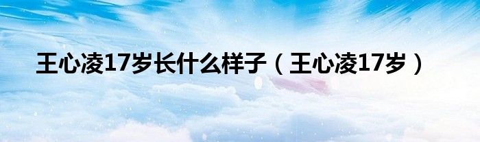 王心凌17岁长什么样子(王心凌17岁)