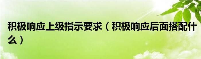 积极响应上级指示要求(积极响应后面搭配什么)