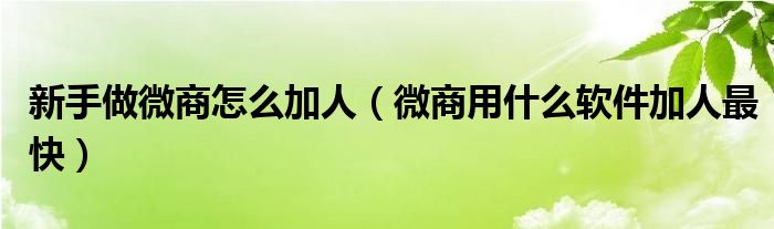 新手做微商怎么加人(微商用什么软件加人最快)