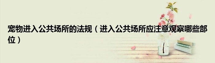 宠物进入公共场所的法规(进入公共场所应注意观察哪些部位)