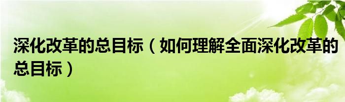 深化改革的总目标(如何理解全面深化改革的总目标)