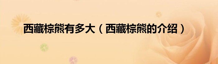 西藏棕熊有多大(西藏棕熊的介绍)