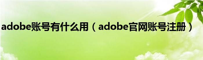 adobe账号有什么用(adobe官网账号注册)