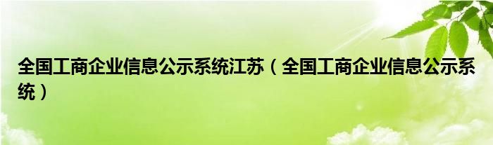 全国工商企业信息公示系统江苏(全国工商企业信息公示系统)