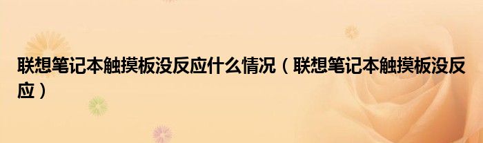 联想笔记本触摸板没反应什么情况(联想笔记本触摸板没反应)