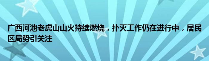 广西河池老虎山山火持续燃烧,扑灭工作仍在进行中,居民区局势引关注