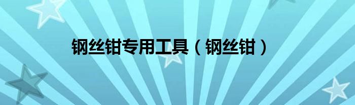 钢丝钳专用工具(钢丝钳)