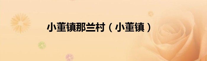 小董镇那兰村（小董镇）