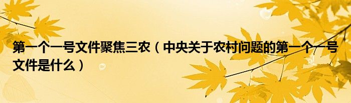 第一个一号文件聚焦三农(中央关于农村问题的第一个一号文件是什么)