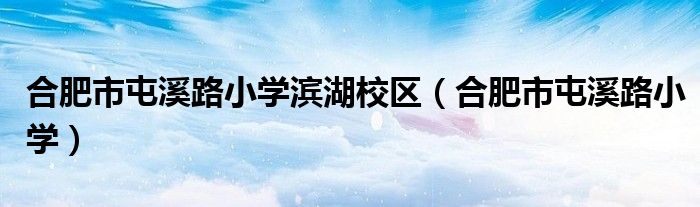 合肥市屯溪路小学滨湖校区(合肥市屯溪路小学)