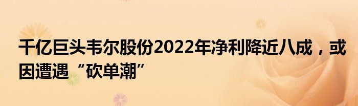 千亿巨头韦尔股份2022年净利降近八成,或因遭遇“砍单潮”