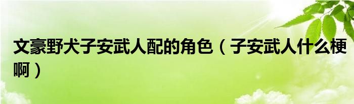 文豪野犬子安武人配的角色(子安武人什么梗啊)