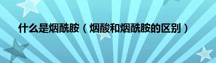 什么是烟酰胺(烟酸和烟酰胺的区别)