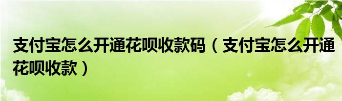 支付宝怎么开通花呗收款码(支付宝怎么开通花呗收款)