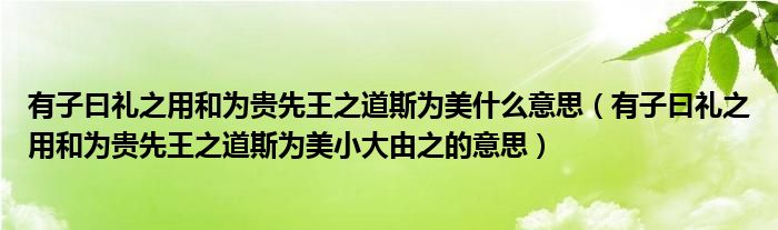 有子曰礼之用和为贵先王之道斯为美什么意思(有子曰礼之用和为贵先王之道斯为美小大由之的意思)