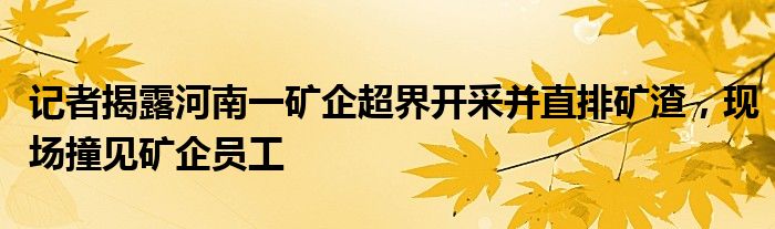 记者揭露河南一矿企超界开采并直排矿渣,现场撞见矿企员工